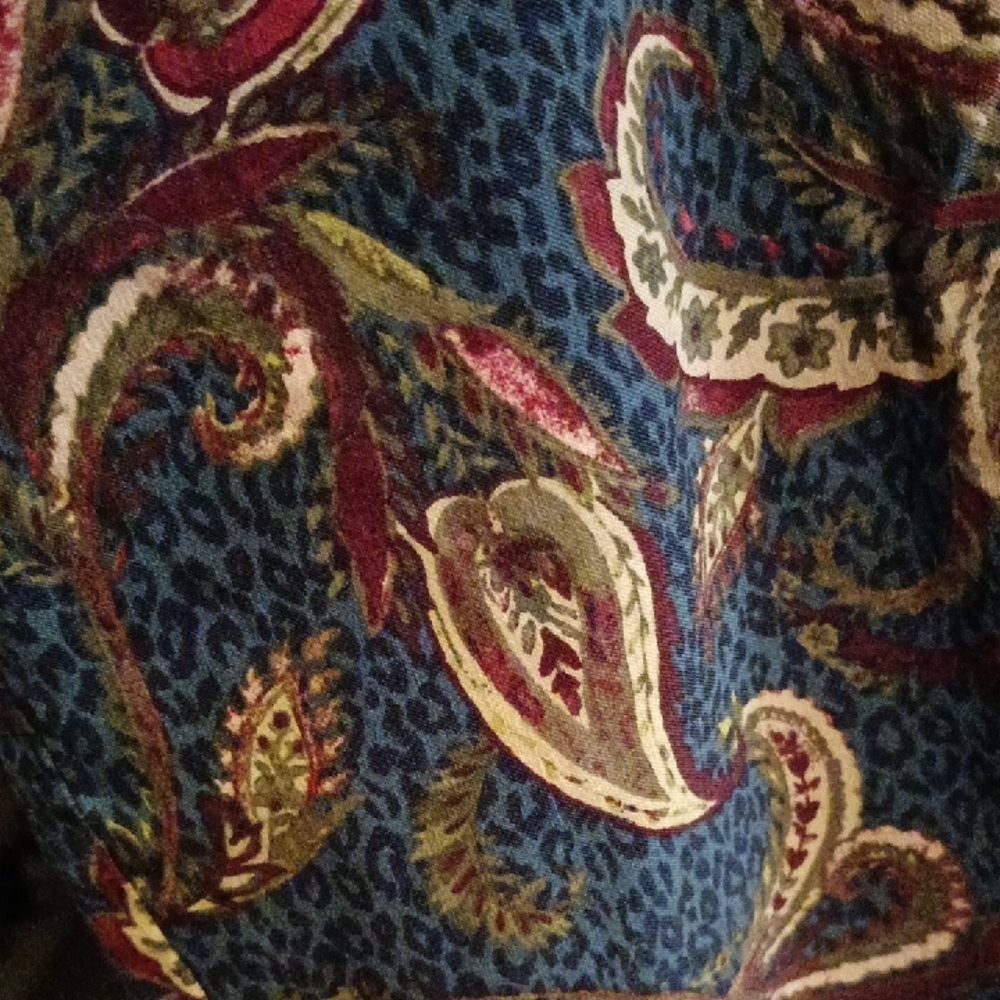 Chico's Blue and Red Paisley Pants - Picture 4 of 5
